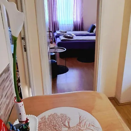 Apartment Katarina Ribarska Banja